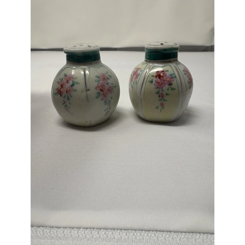 Vintage Salt & Pepper Shakers Hand Painted Floral Porcelain No Stopper Elegant